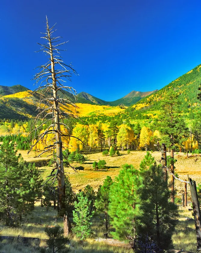 lockett meadow 7x5.jpg