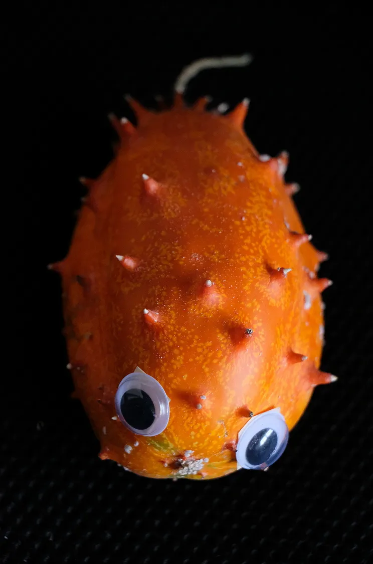 Alien-DSCF3352-steemit.JPG