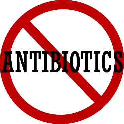 no-antibiotics-250x250.png
