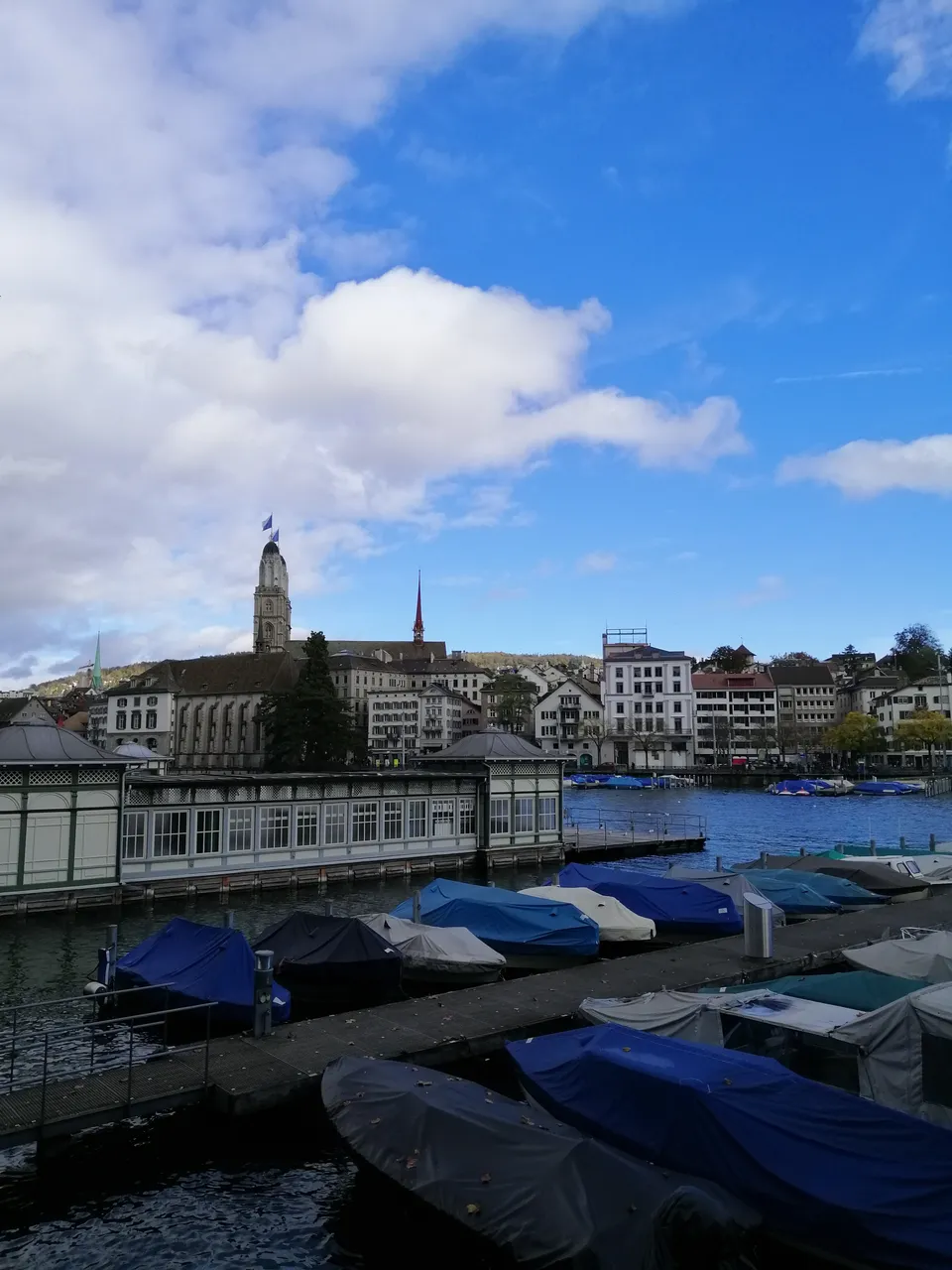 IMG_20191102_121240[1].jpg