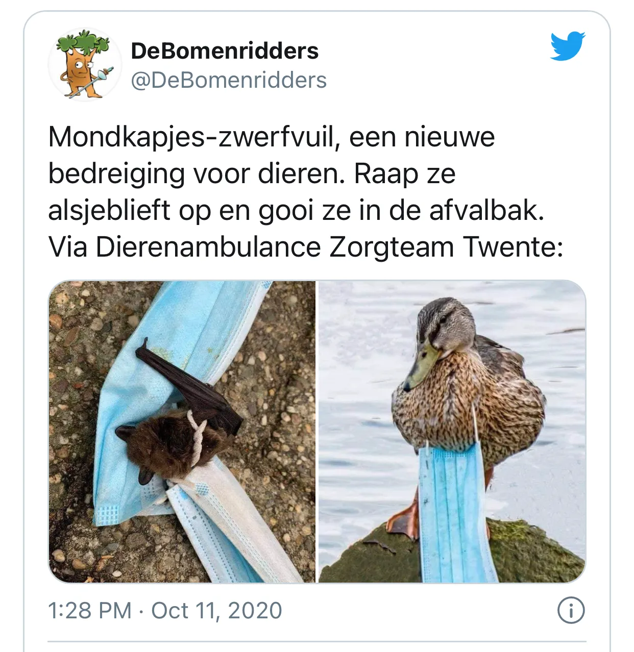 1C9A024236F042A2B9DB74A6693EADFE.jpeg