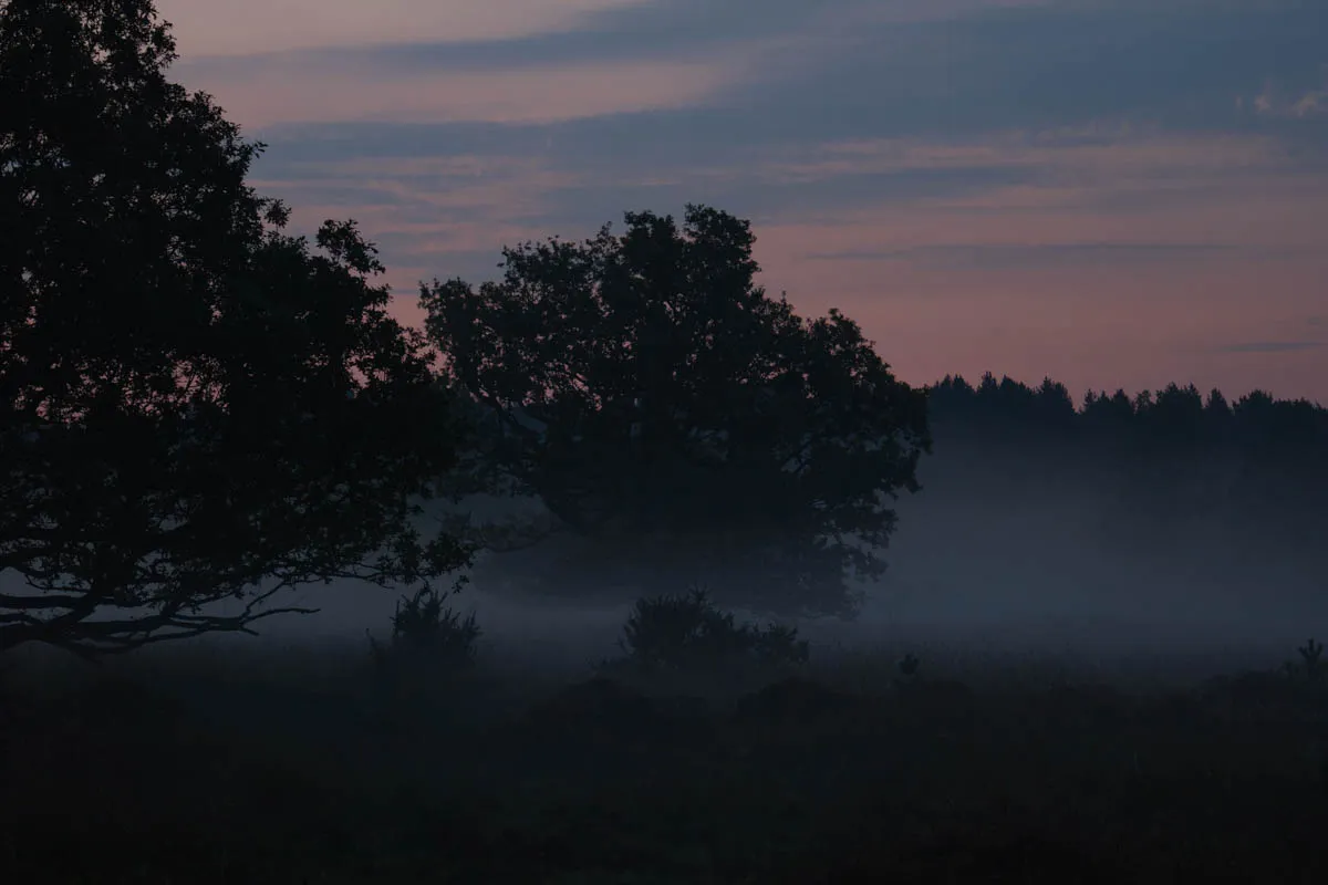 Linwood warren sunrise sept 20200128.jpg