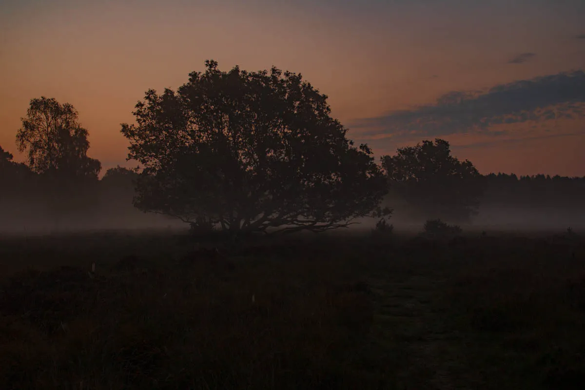 Linwood warren sunrise sept 20200133.jpg
