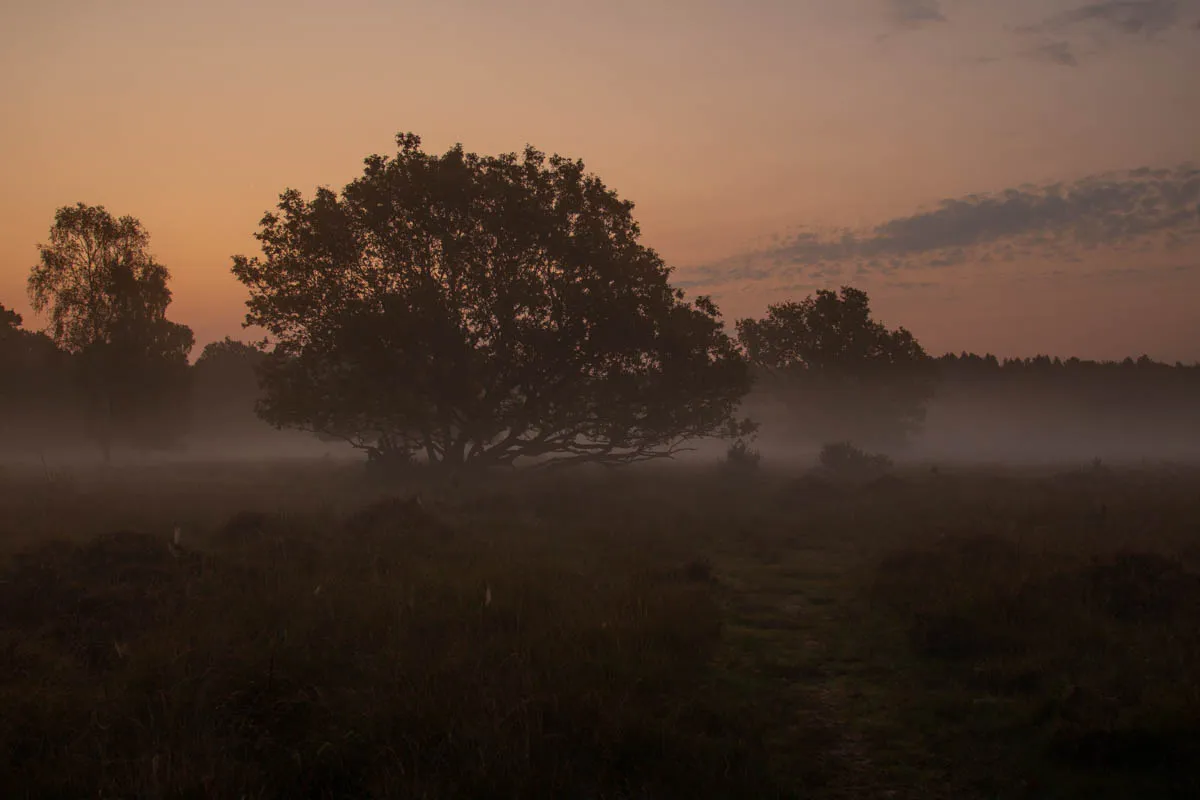 Linwood warren sunrise sept 20200136.jpg