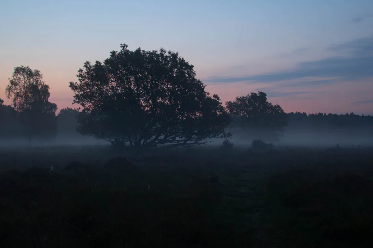 Linwood warren sunrise sept 20200126.jpg