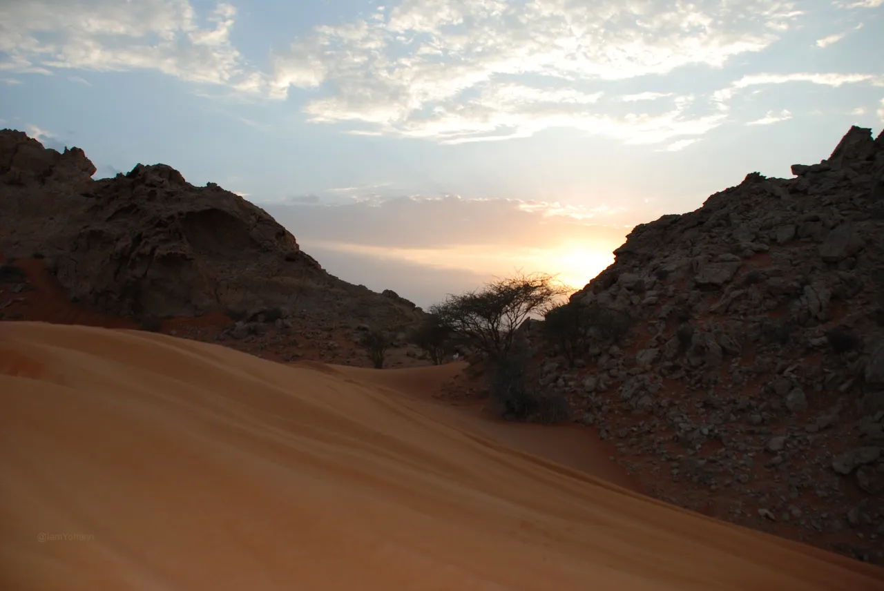 Desert Sunset