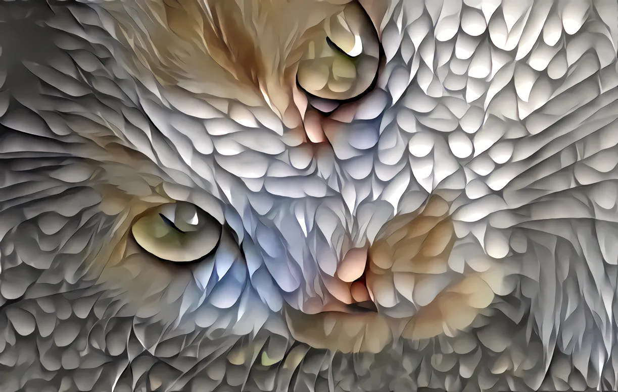 8eb14d0d7354e0203236bc22c91ae6f8f176c59b.jpg