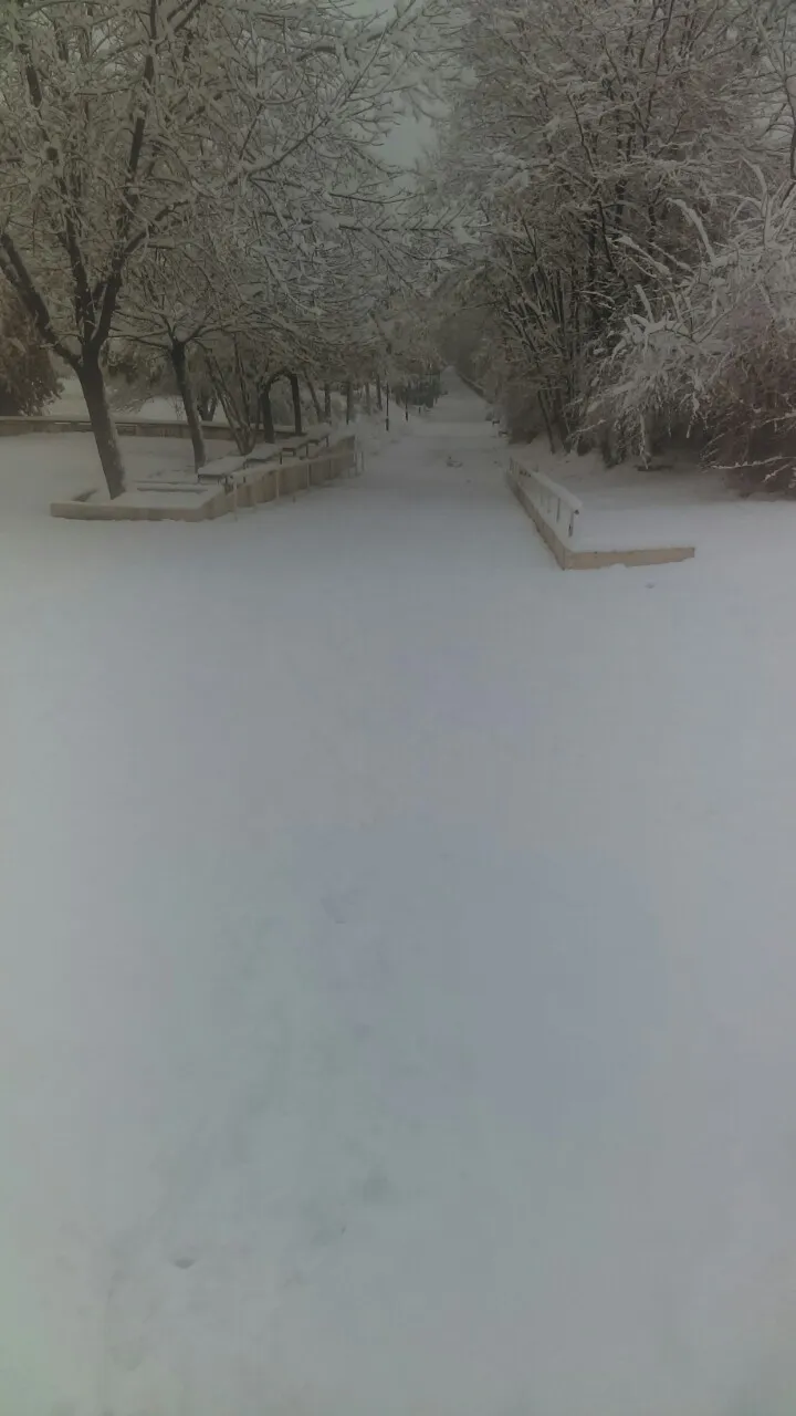 IMGe978337e87e483a63b64d0bf02cbf262V.jpg