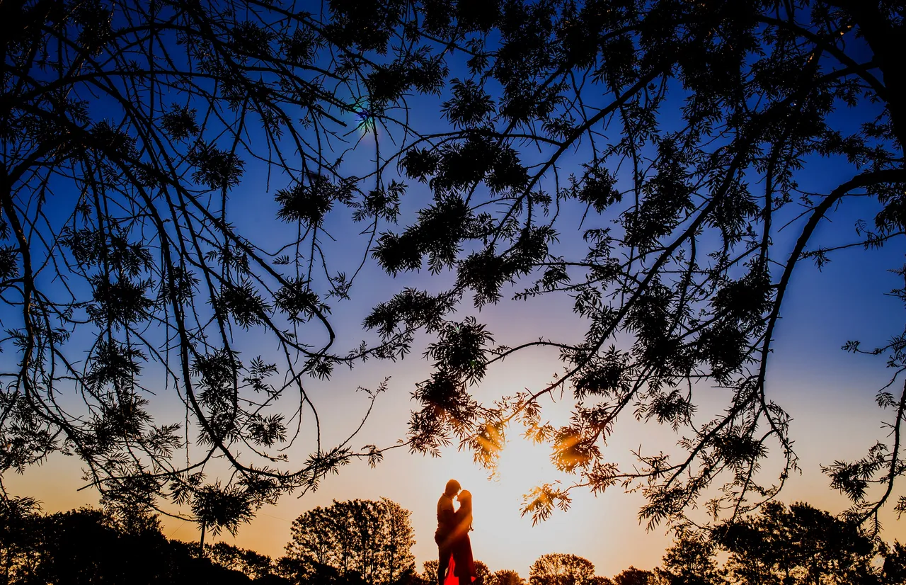 evertonvilagS6mGS0SrNwunsplash.jpg