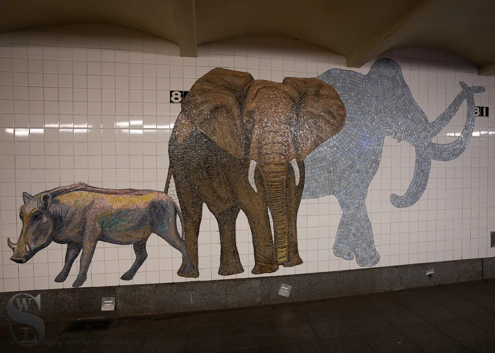 1 1 81st Street Subway Station5.jpg