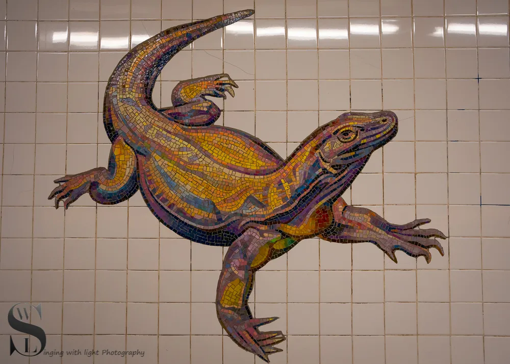 1 1 81st Street Subway Station2.jpg