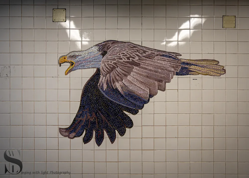 1 1 81st Street Subway Station6.jpg