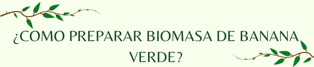 biomasa_de_banana_verde_7_.jpg