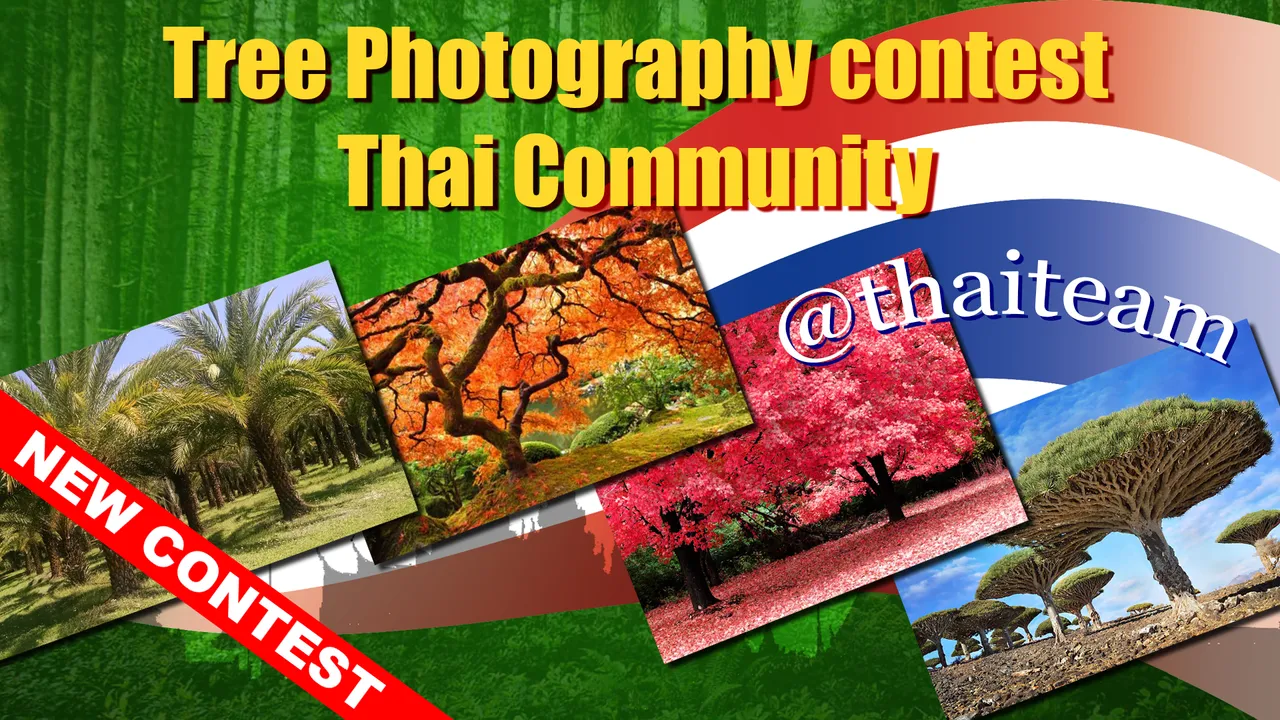 tree_photography_contest_2.png