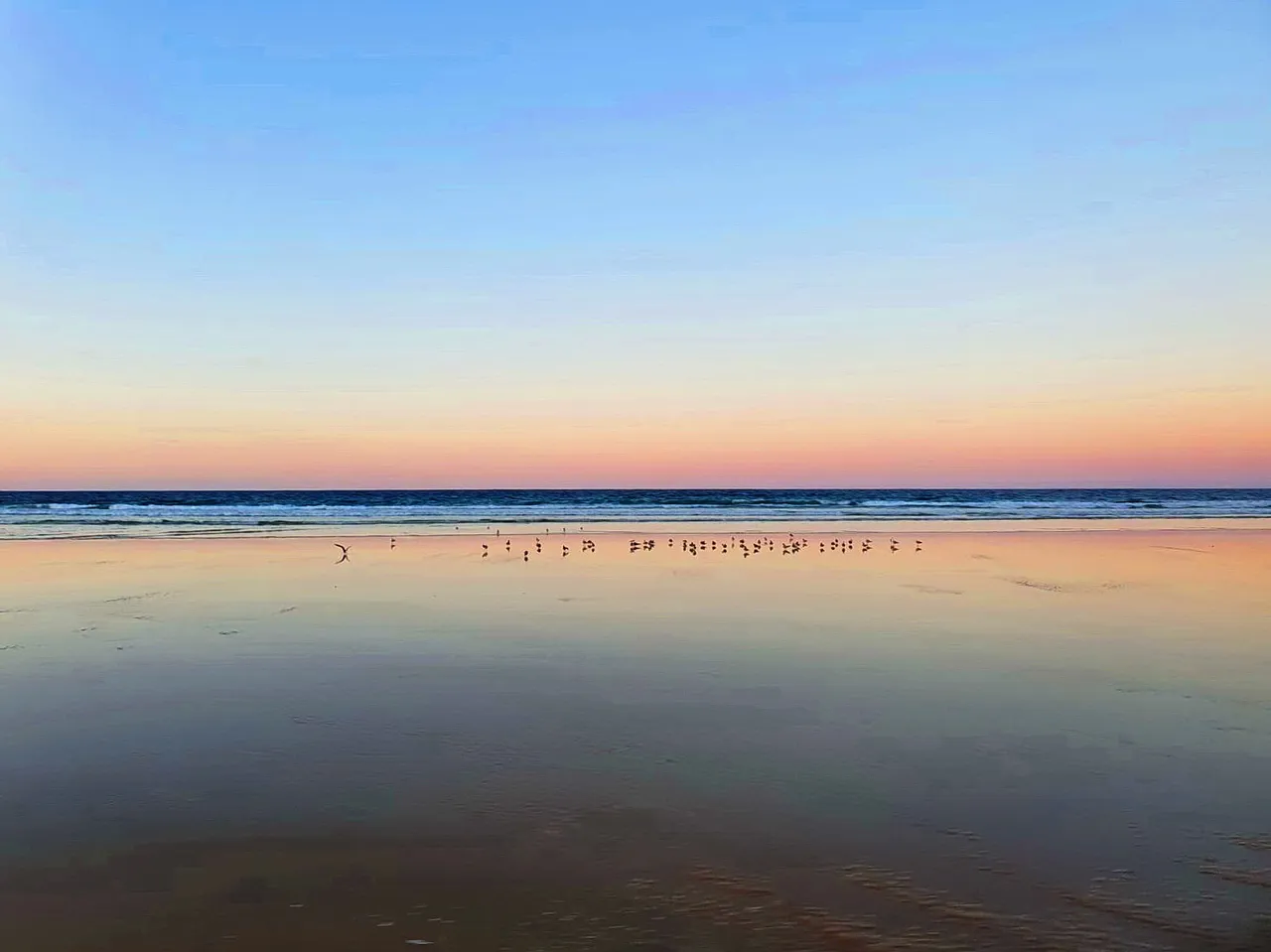 fraser_island_oct_2020_259.jpg