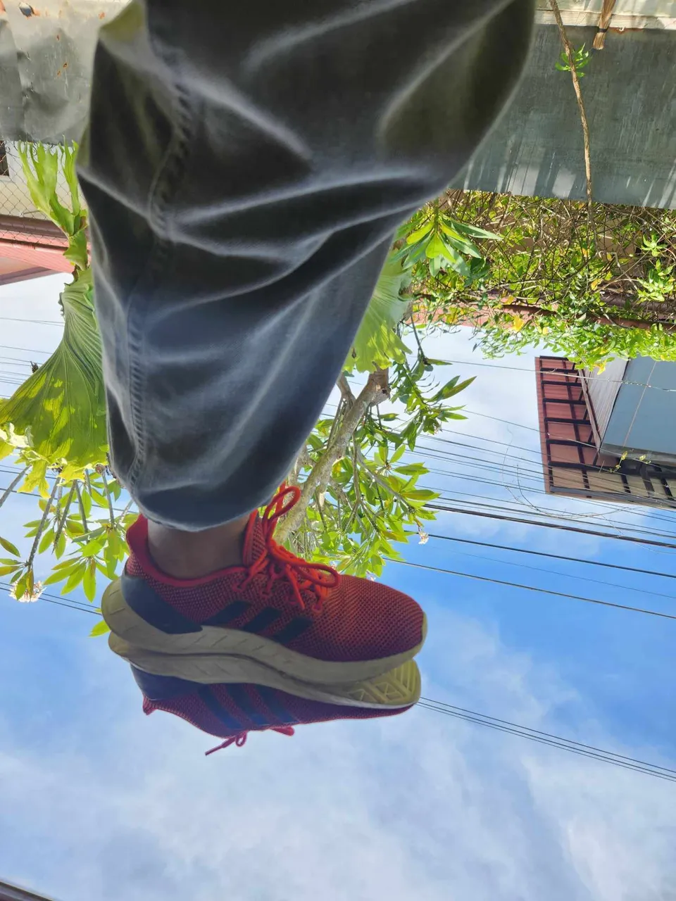 Phonography/Phone Photography Contest 01 - My Shoes From A Different Perspective