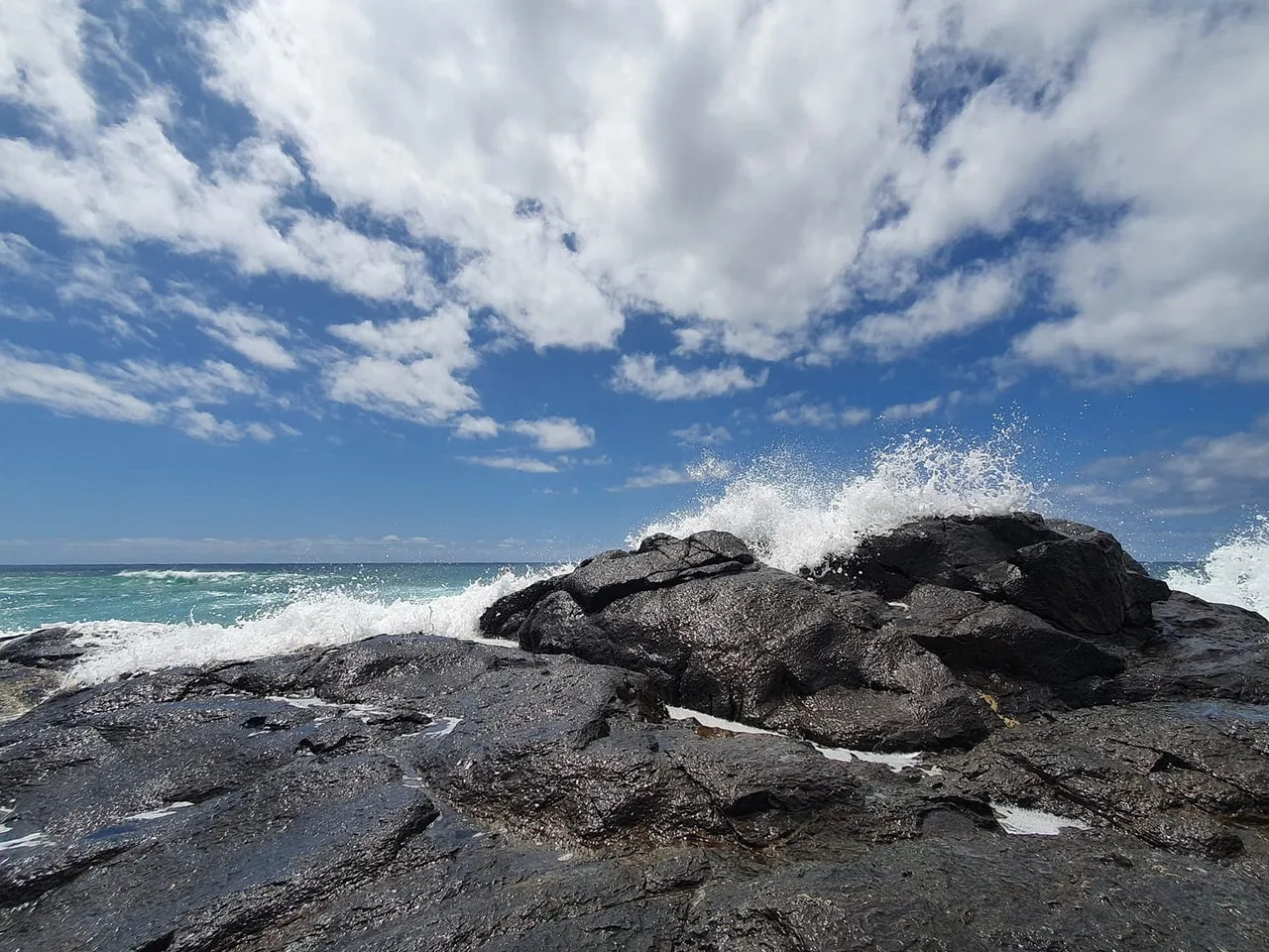 fraser_island_oct_2020_270.jpg