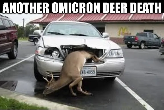 another_omicron_deer_death.jpg