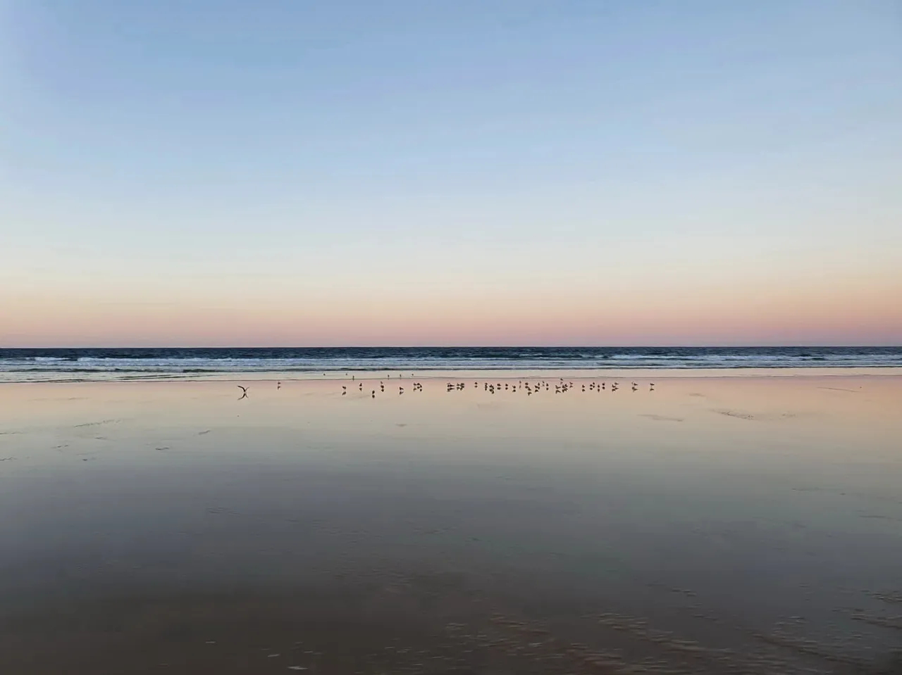 fraser_island_oct_2020_259.jpg