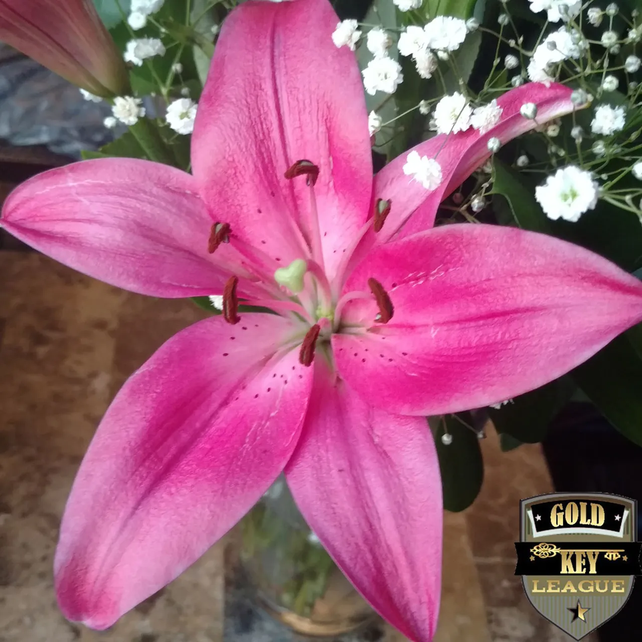 GK_Flowers_Ver67_04_5_5_300.jpg