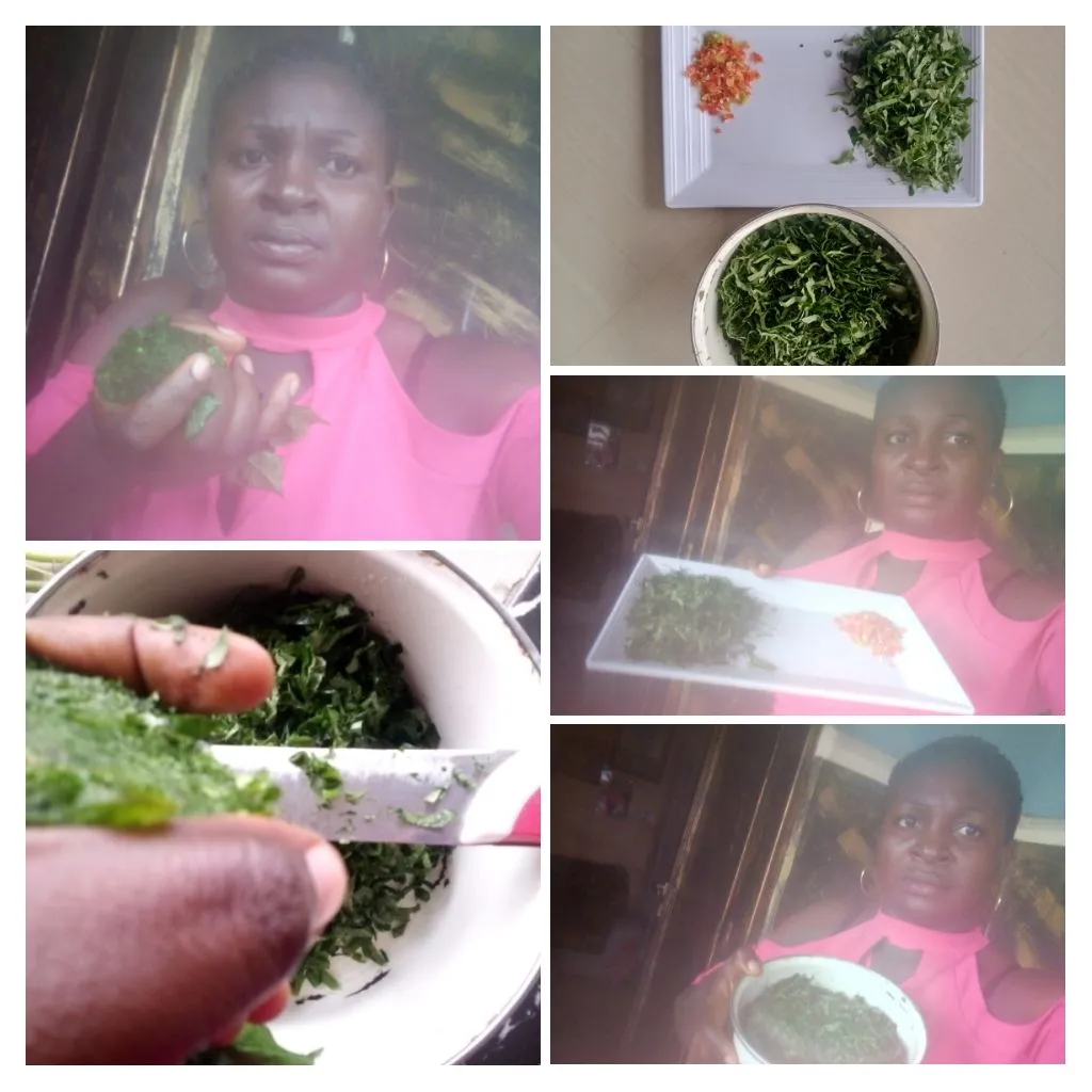 IMG_20250716_171416-COLLAGE.jpg