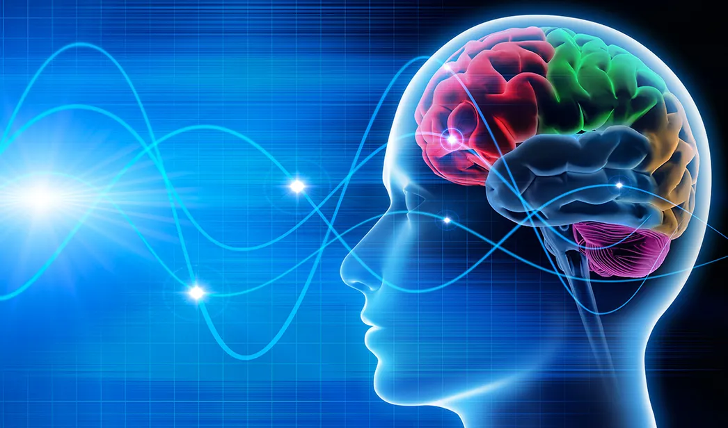 1046x616_brain_neuroscience.jpg