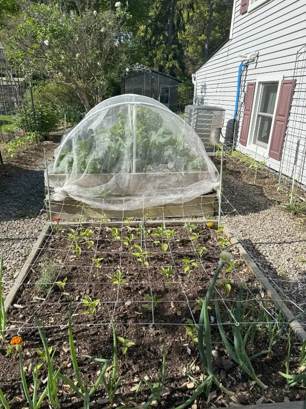 hivegarden-pepper-support-3.jpg