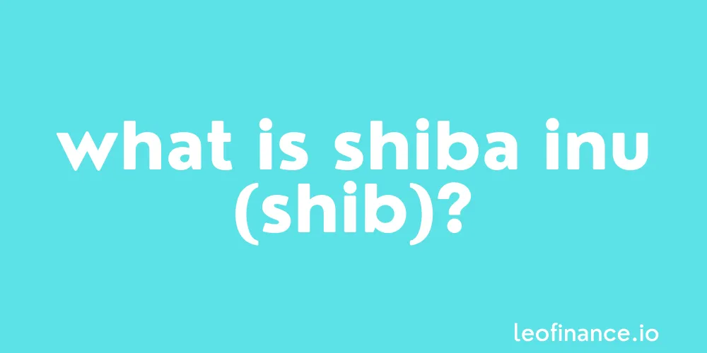 What is Shiba Inu coin (SHIB)?