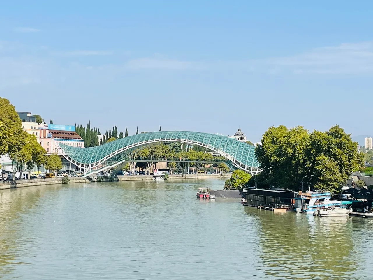 8. Tbilisi_Peace Bridge.jpg