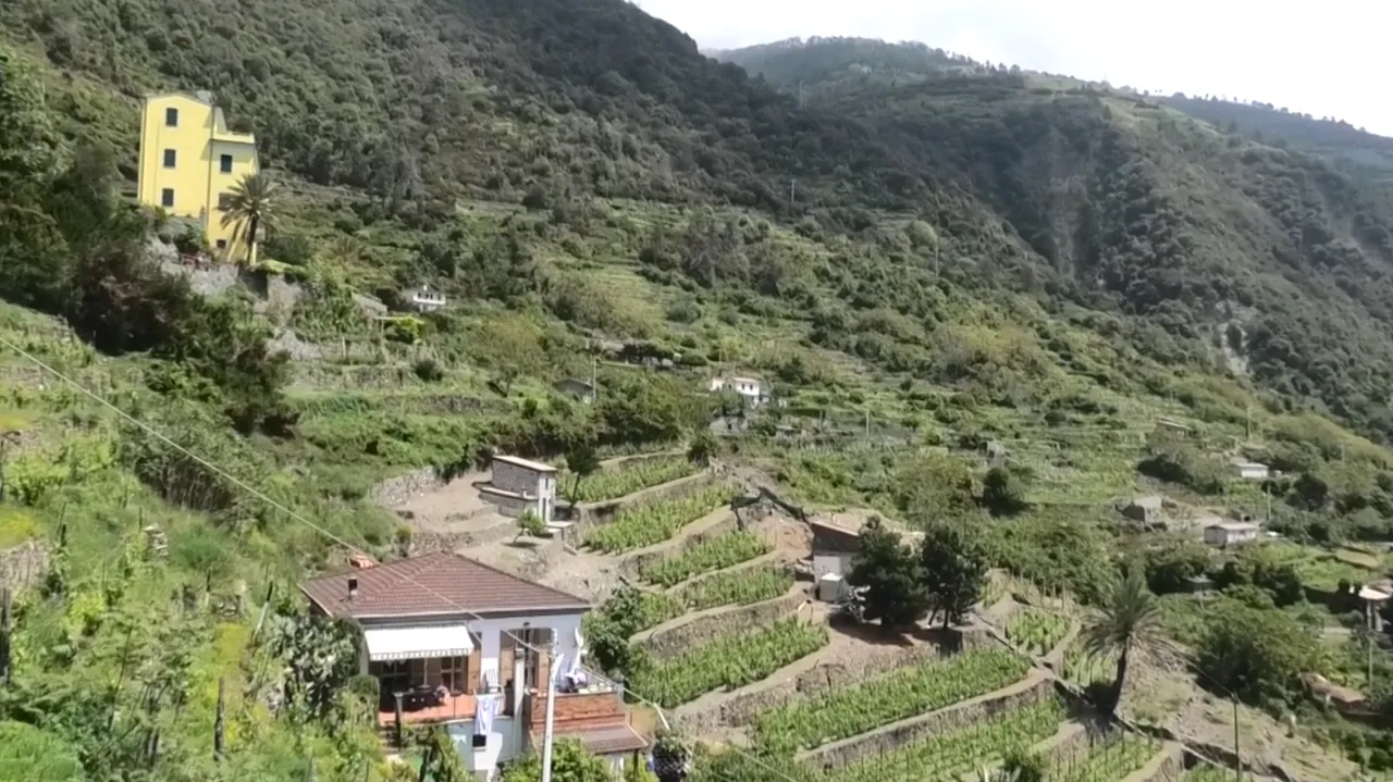 52.-Cinqueterre-Corniglia-3.png