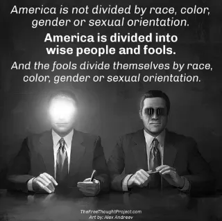 fools divide themselves.png
