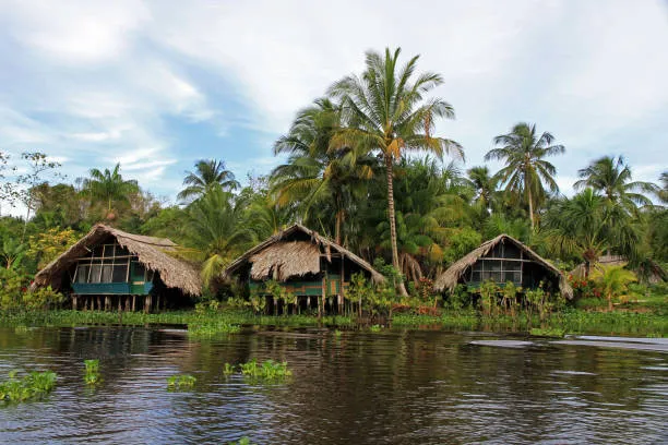 "Orinoco Verde palafitos.jpg"