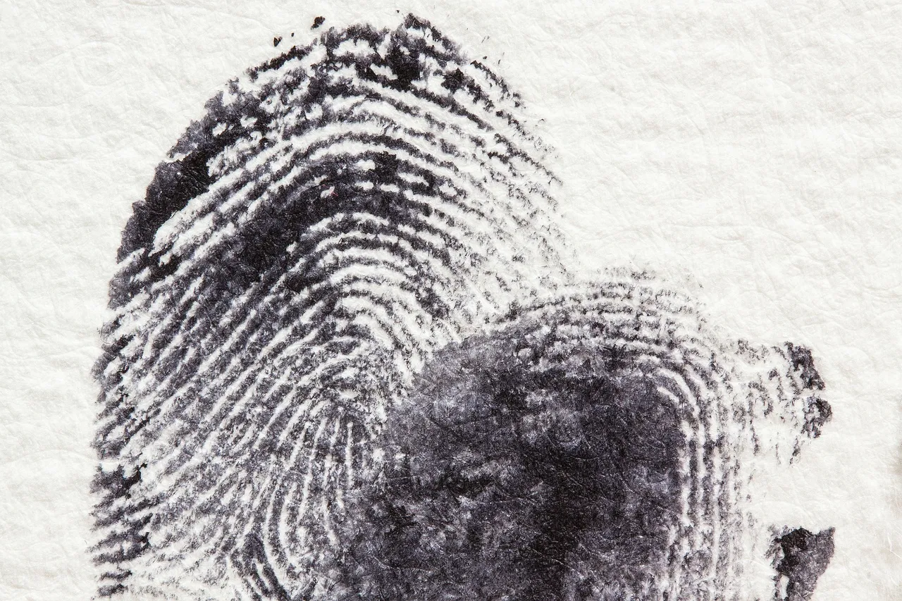 " " \" \" \\"fingerprint-g2fabac0ed_1920.jpg\\"\"\"""