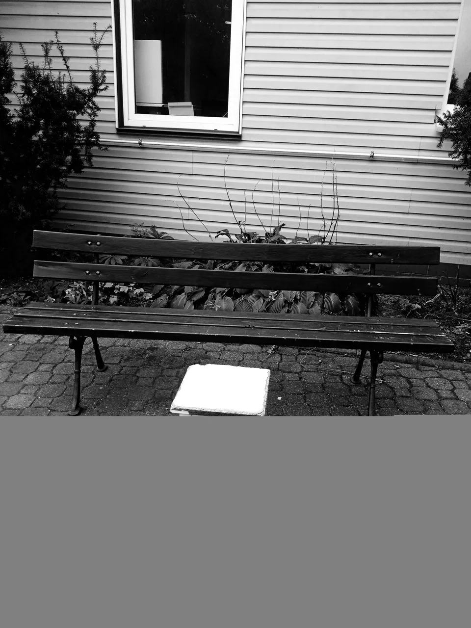 ice_2021-09-16-02-48-40-641.jpg