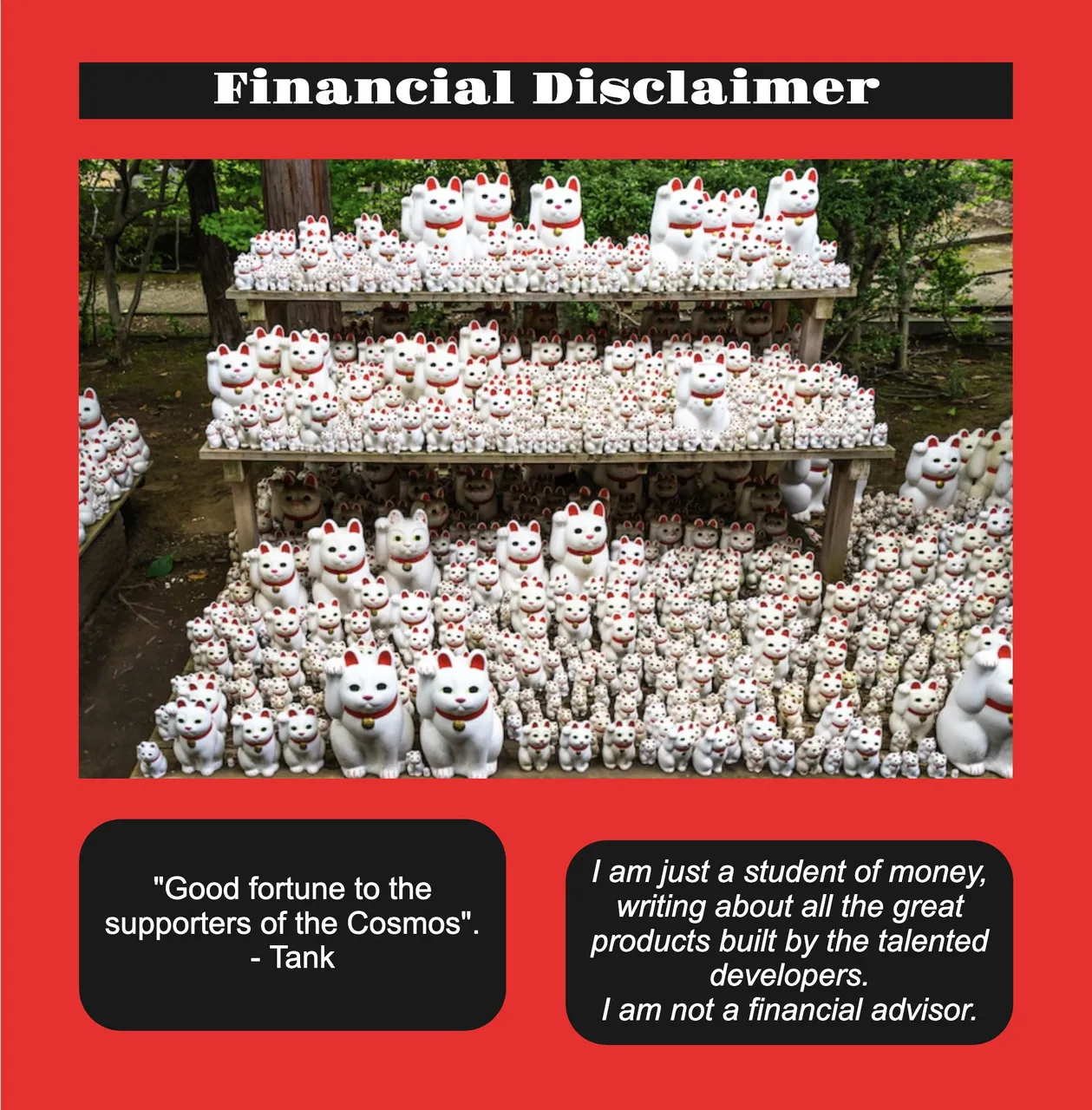 Financial Disclaimer 31.jpg