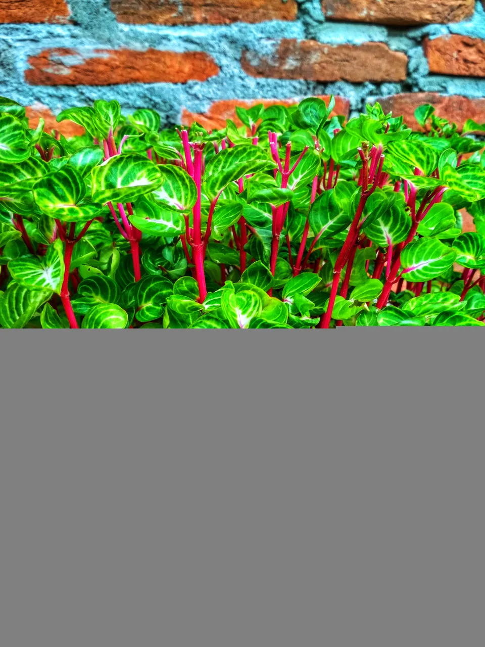 IMG_20210922_175235_HDR-01.jpeg
