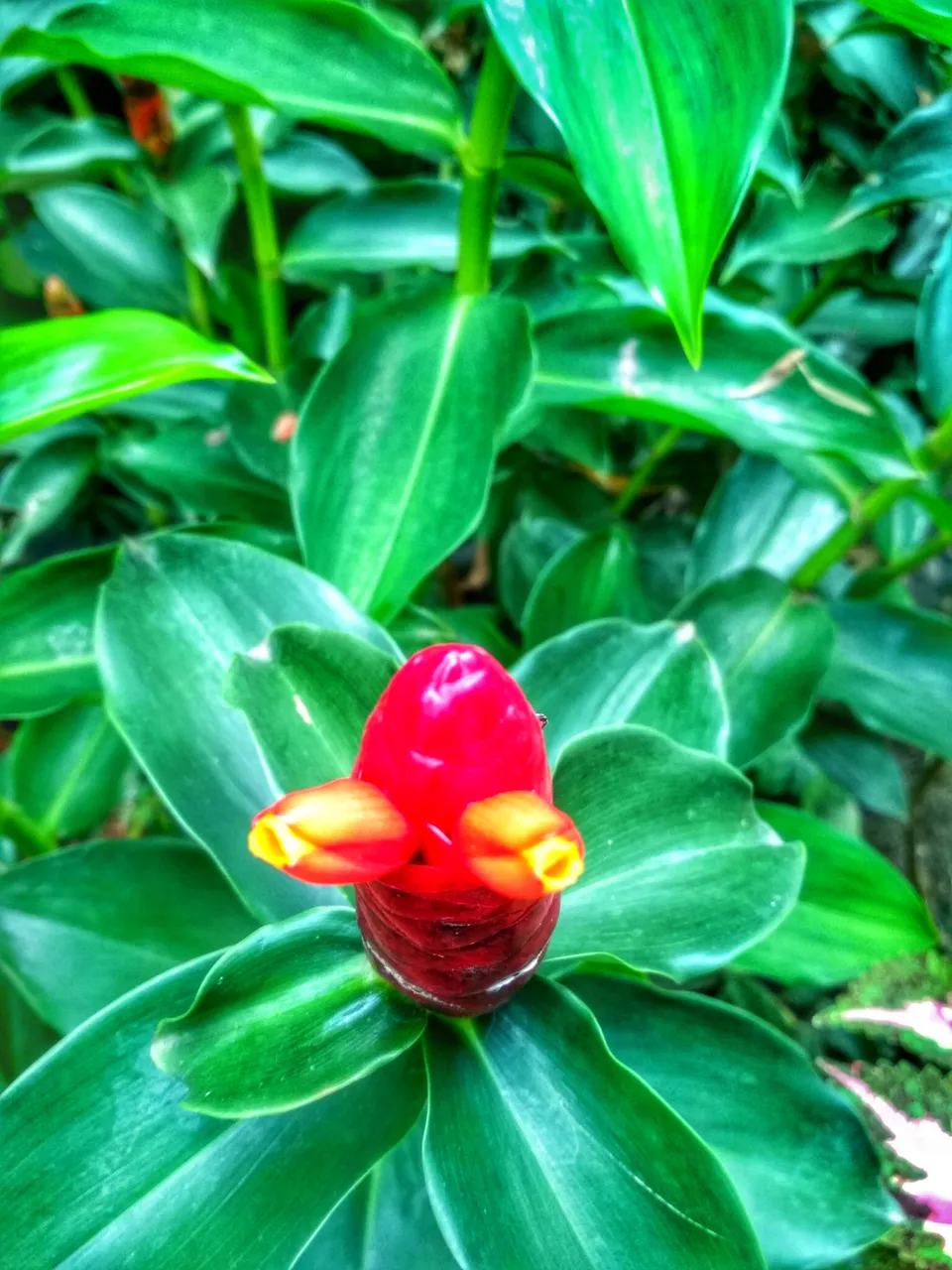 "IMG_20210922_132442_HDR-01.jpeg"