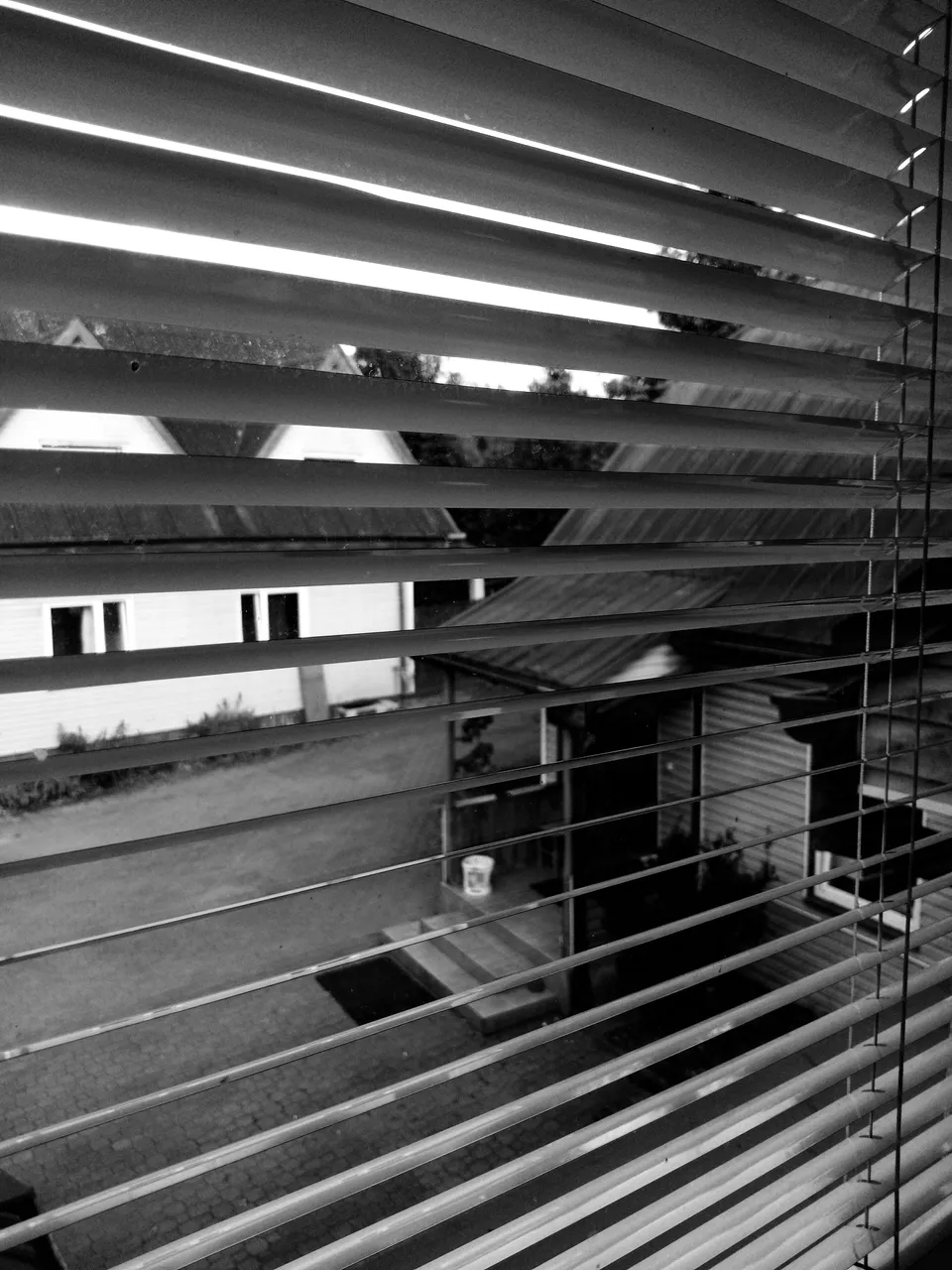ice_2021-09-15-08-06-15-100.jpg