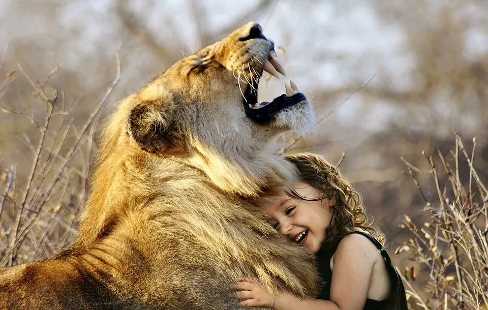 lion-3012515_960_720 (1).webp