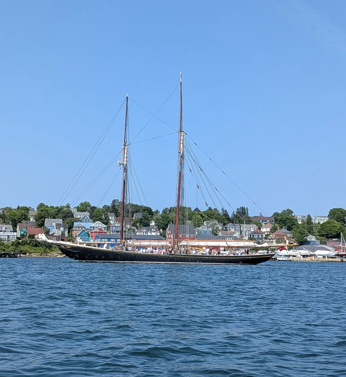 bluenose-passing-my-mooring.jpg