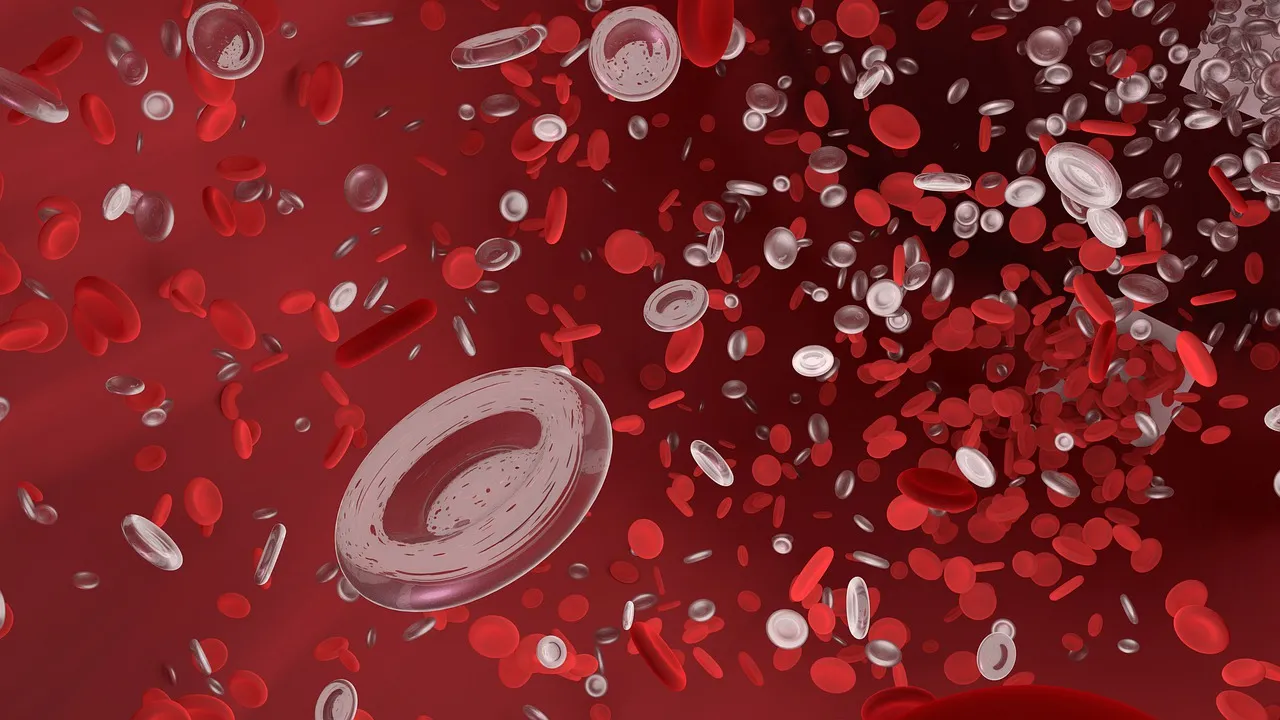 red-blood-cell-4256711_1280.jpg