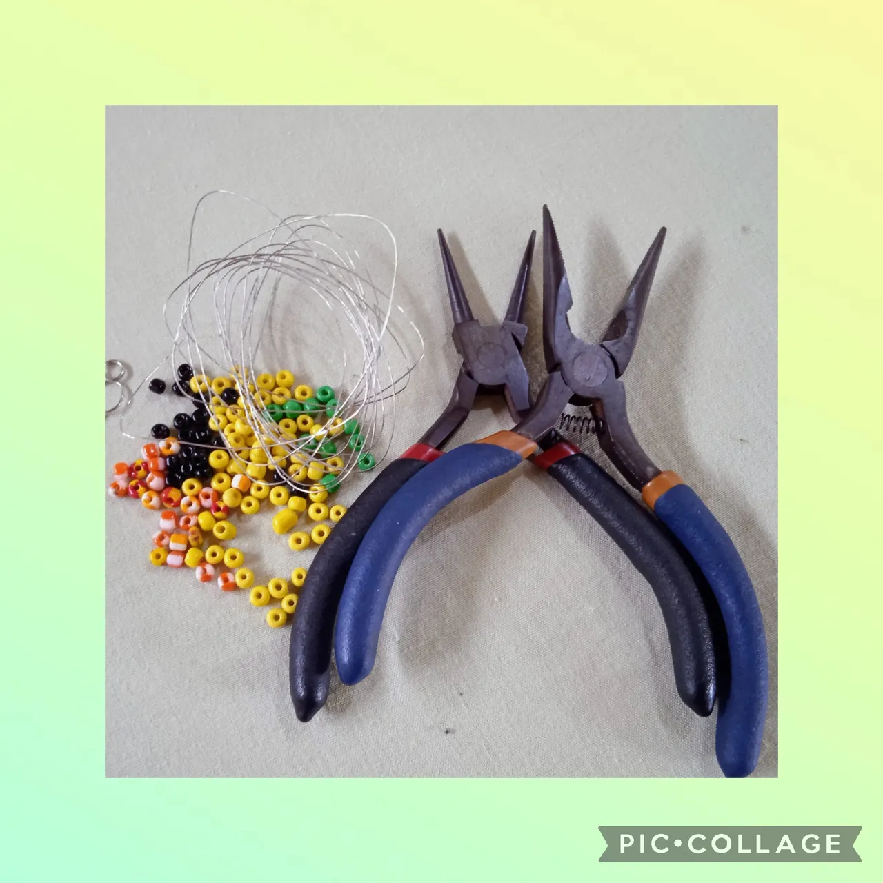 "Collage_2023-10-02_17_59_21.jpg"
