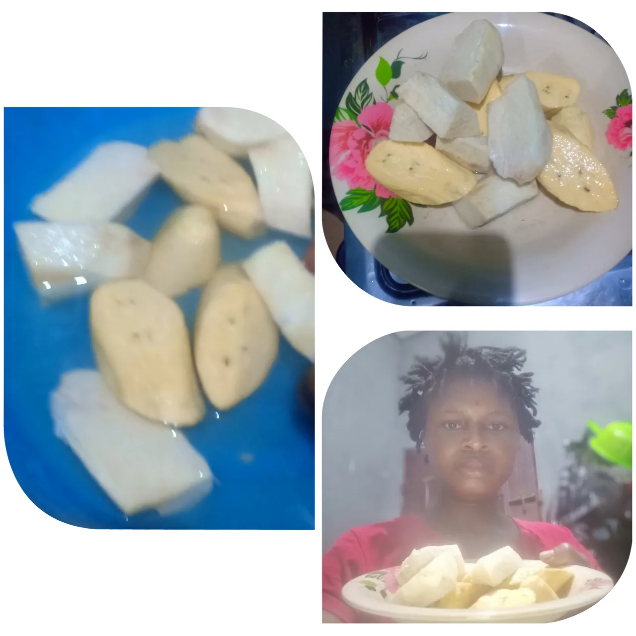 Collage 2025-07-01 08-20-41.png