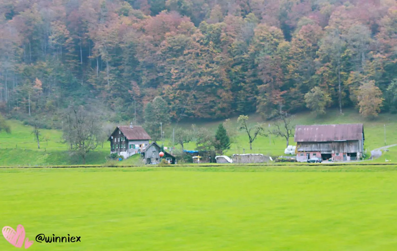 _20200809103336.jpg