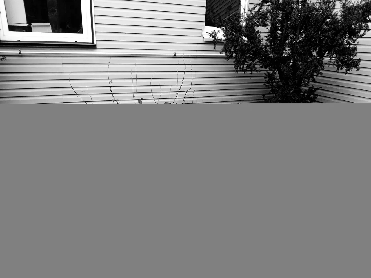 ice_2021-09-16-02-49-26-961.jpg