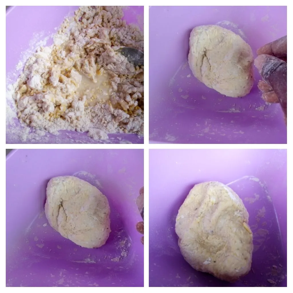 IMG_20250725_025650-COLLAGE.jpg
