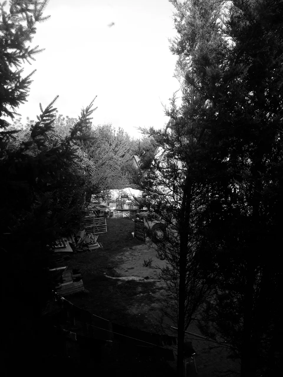 ice_2021-09-15-08-05-26-677.jpg