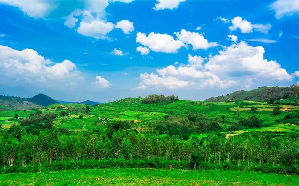 Araku Valley