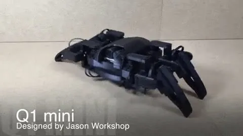 Q1 Mini.mp4