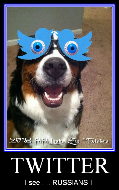 180122 TWITTER Goggles.jpg